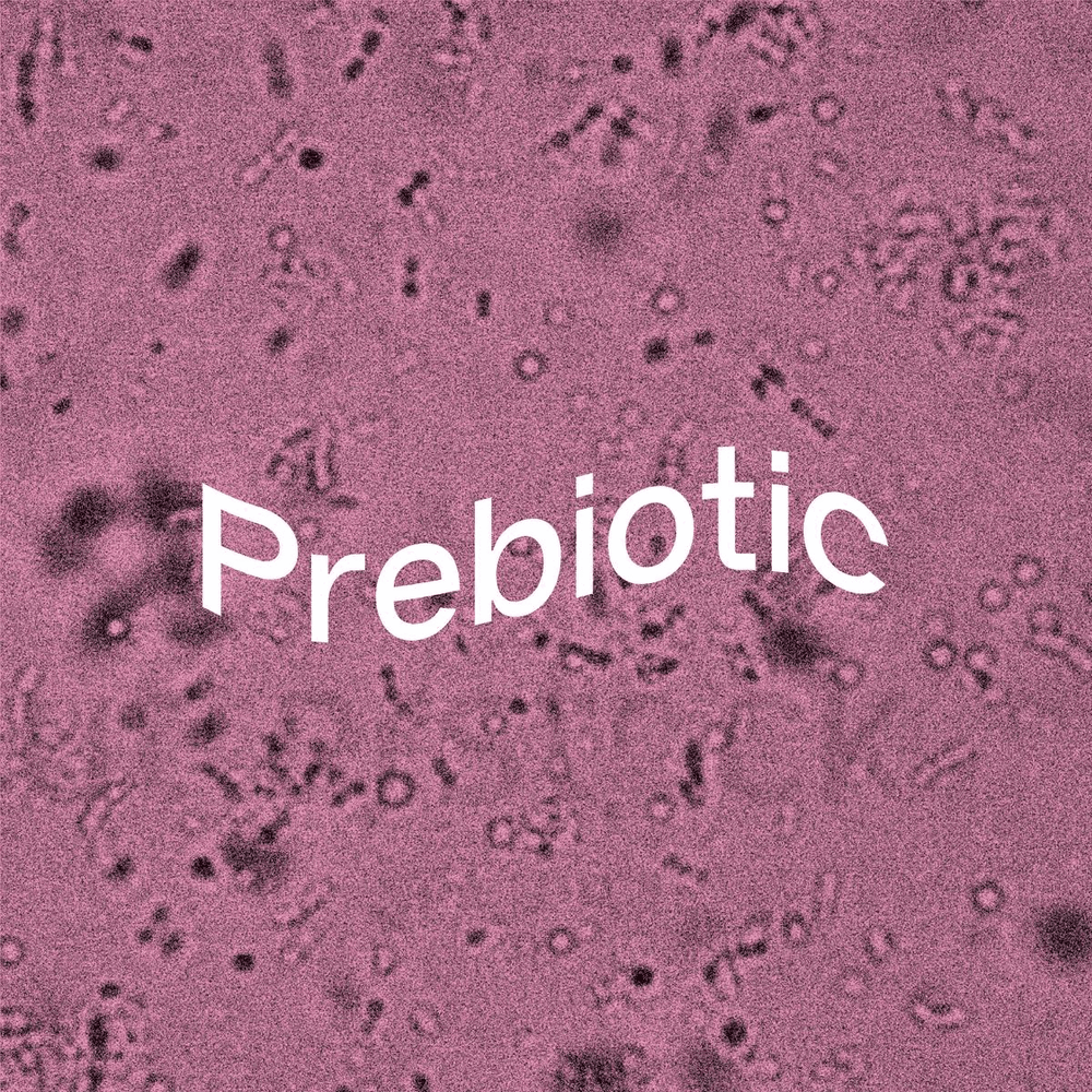 prebiotic, prebiotic fibre, probiotic